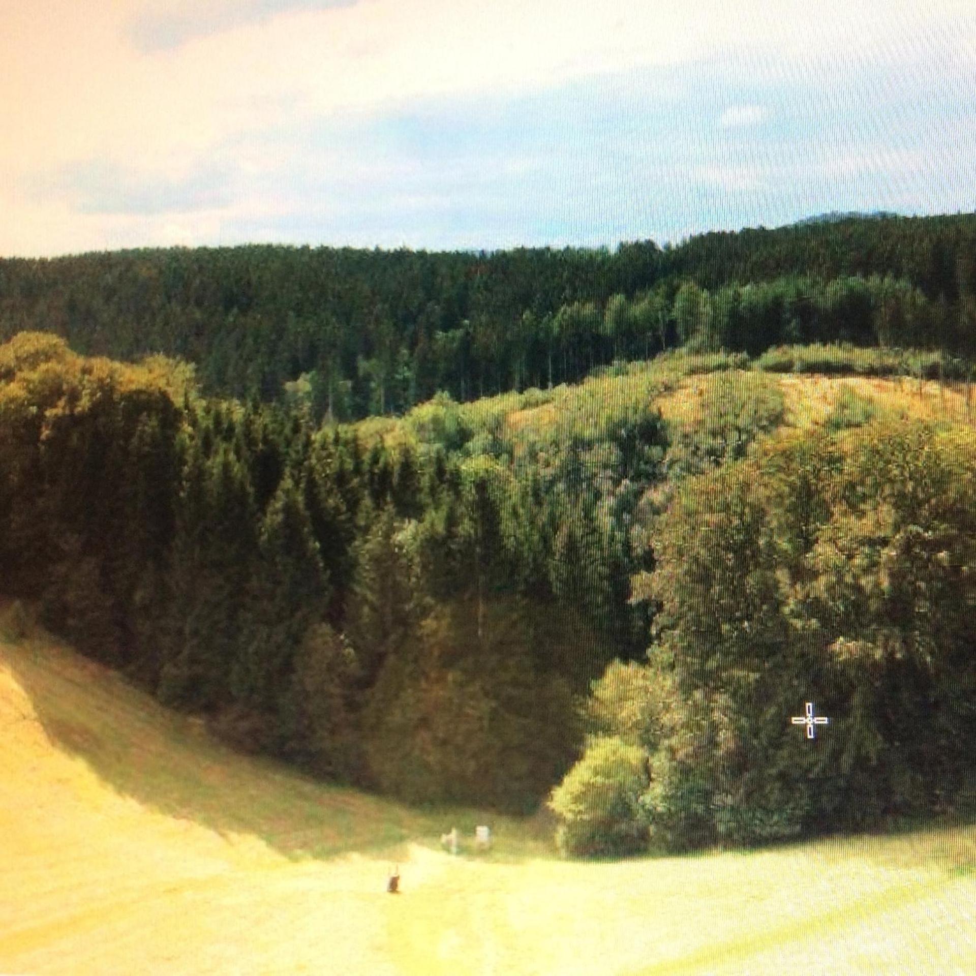 Fewo Romy Braunlage Buitenkant foto